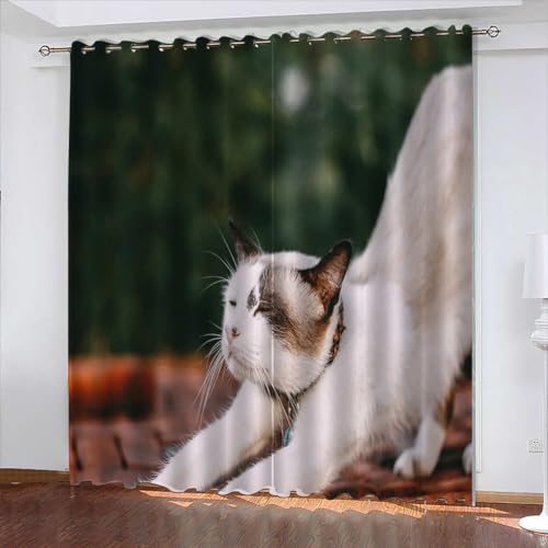 FYRHLH Verdunkelungsvorhänge Tiere & Katzen Gardinen Fenster Verdunkelungsvorhang Lichtundurchlässige UV Schutz für Schlafzimmer Geräusch Größe:B234 x H138cm von FYRHLH