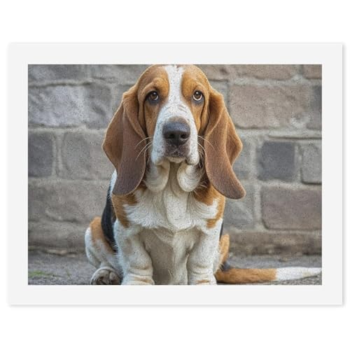 FZQVSGW Digitales Ölgemälde für Erwachsene, Anfänger, Malen nach Zahlen, Basset Hound, digitale Ölfarben nach Zahlen für Erwachsene, einfaches Leinwand-Kunstdruck-Set für Zuhause, Wanddekoration, 30 x von FZQVSGW