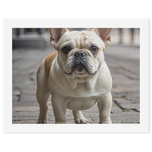 FZQVSGW Digitales Ölgemälde für Erwachsene, Anfänger, Malen nach Zahlen, Französische Bulldogge, digitale Ölfarben nach Zahlen für Erwachsene, einfaches Leinwand-Kunstdruck-Set für Zuhause, von FZQVSGW