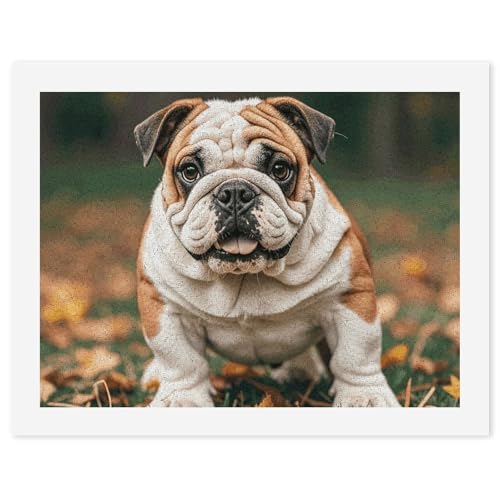 FZQVSGW Digitales Ölgemälde für Erwachsene, Anfänger, Malen nach Zahlen, niedliche Bulldogge, digitale Ölfarben nach Zahlen für Erwachsene, einfaches Leinwand-Kunstdruck-Set für Zuhause, von FZQVSGW