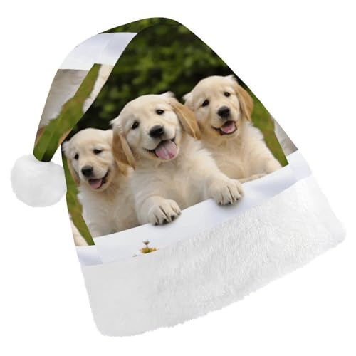 FZQVSGW Erwachsene Weihnachtsmützen Weihnachten Festival Hüte Weihnachten Party Geschenk Hüte Festliche Weihnachtsmützen für Männer und Frauen Weihnachtsmann Weihnachtsmütze Golden Retriever Welpen von FZQVSGW