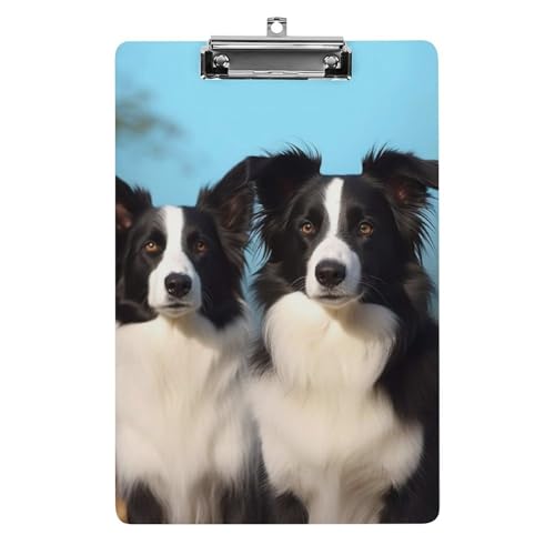 Klemmbrett Border Collie Büro Klemmbrett 21,6 x 32,5 cm Acryl Klemmbrett mit Metallclip Briefgröße A4 Halter Niedliches hängendes Klemmbrett für die Arbeit von FZQVSGW