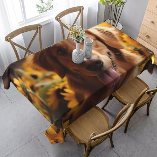 FZQVSLCM Tischdecke für rechteckige Tische, wasserdicht, Golden Retriever, Sonnenblume, knitterfrei, Bauernhaus-Esstischabdeckung, robuster Stoff, Tischdecke für drinnen und draußen, 140 x 89 cm FZQVSLCM Tischdecke für rechteckige Tische, wasserdicht, Golden Retriever, Sonnenblume, knitterfrei, Bauernhaus-Esstischabdeckung, robuster Stoff, Tischdecke für drinnen und draußen, 140 x 89 cm von FZQVSLCM