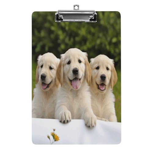 Acryl-Klemmbrett Golden Retriever Welpen, bedruckt, niedlich, dekorativ, glitzernd, Klemmbrett für Damen, 21,6 x 28,9 cm von FZQVSWTX