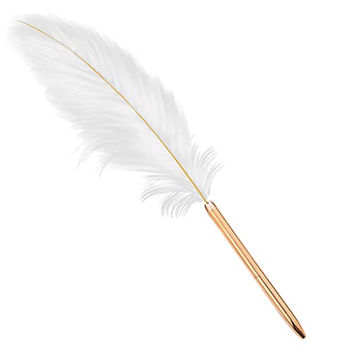 Fancy Feather Schwarze Tinte Stift für Braut Hochzeit Feder Kugelschreiber Beschichtungsstift Glattes Schreiben für Hochzeit Kugelschreiber Schwarz Feine Spitze von FackLOxc