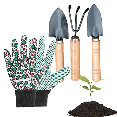 Facynde 4 St Gartengeräte Gartenwerkzeug,Gartengeräte Aus Rostfrei Edelstahl Mit Mit Ergonomischem Griff Gartenset Mit Schaufel Gartenschere Gartenhandschuhe Harke von Facynde