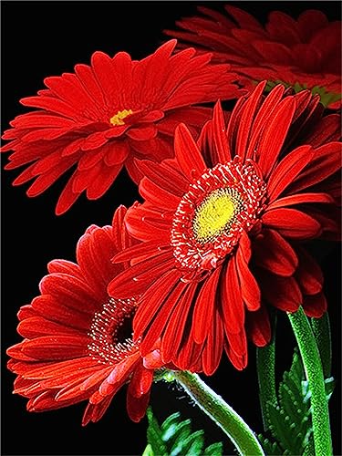 DIY Diamant Painting Bilder, 5D Diamond Painting Set, Blumen Gerbera Gänseblümchen Vollbohrer Diamond Art Painting Kits,Diamant Malerei Bilder Nach Zahlen,für Kinder Erwachsene, Wand Art Dekor 35x45cm von FanSee