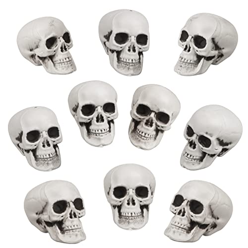 10 Stück Halloween Schädel Realistisch aussehende kleine Schädel Köpfe Scary Halloween Menschliche Skelett Schädel Kunststoff Schädel Kopf für Halloween Party nach Hause Schreibtisch Tischdekoration von Fangoo