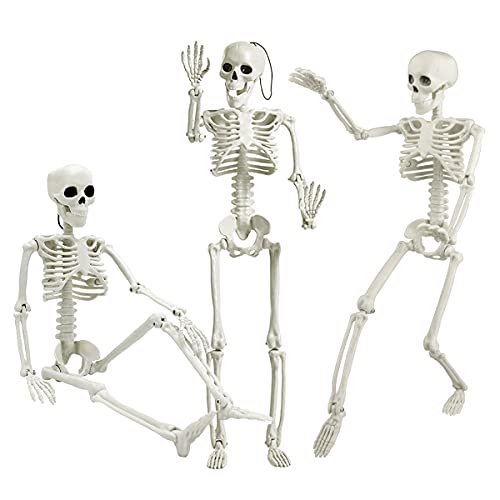 3 Stück Halloween Skelette Posable Halloween Hängende Skelette ganzer Körper dehnbar realistische menschliche Kunststoff-Knochen mit beweglichen Gelenken für Halloween-Party Innen Außen Dekoration von Fangoo