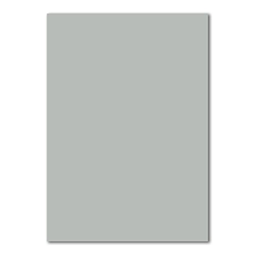1000 DIN A4 Papierbogen Planobogen - Hellgrau (Grau) - 160 g/m² - 21 x 29,7 cm - Bastelbogen Ton-Papier Fotokarton Bastel-Papier Ton-Karton - FarbenFroh von FarbenFroh by GUSTAV NEUSER