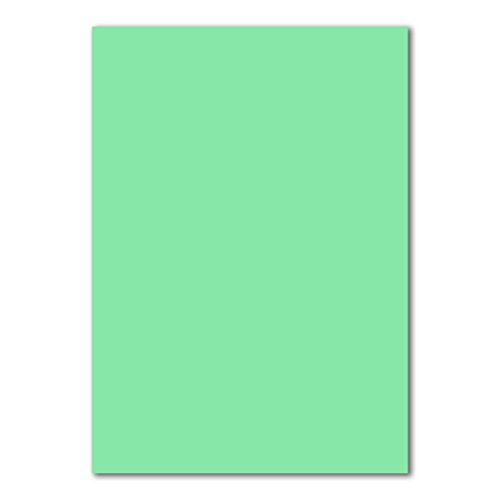 200 DIN A4 Papierbogen Planobogen - Mintgrün (Grün) - 160 g/m² - 21 x 29,7 cm - Bastelbogen Ton-Papier Fotokarton Bastel-Papier Ton-Karton - FarbenFroh von FarbenFroh by GUSTAV NEUSER