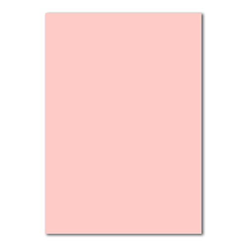 200 DIN A4 Papierbogen Planobogen - Rosa - 160 g/m² - 21 x 29,7 cm - Bastelbogen Ton-Papier Fotokarton Bastel-Papier Ton-Karton - FarbenFroh von FarbenFroh by GUSTAV NEUSER