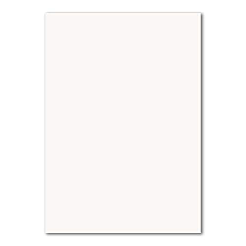 300 Blatt DIN A5 Papier - Hochweiß - 120gr - 14,8 x 21cm - Bastelbogen Tonpapier Bastelpapier Briefbogen - FarbenFroh by GUSTAV NEUSER 300 Blatt DIN A5 Papier - Hochweiß - 120gr - 14,8 x 21cm - Bastelbogen Tonpapier Bastelpapier Briefbogen - FarbenFroh by GUSTAV NEUSER von FarbenFroh by GUSTAV NEUSER