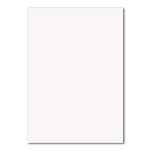 300 DIN A4 Papierbogen Planobogen - Hochweiß (Weiß) - 160 g/m² - 21 x 29,7 cm - Bastelbogen Ton-Papier Fotokarton Bastel-Papier Ton-Karton - FarbenFroh von FarbenFroh by GUSTAV NEUSER