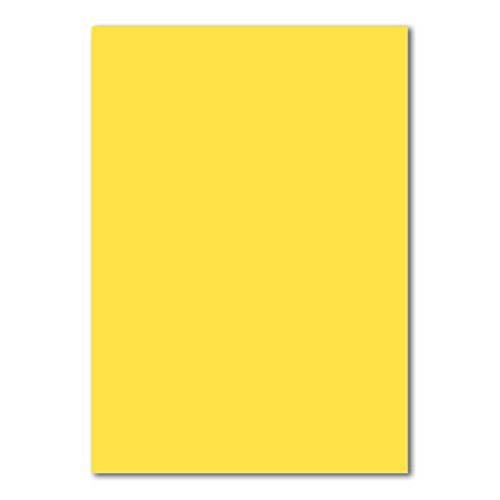 300 DIN A4 Papierbogen Planobogen - Honiggelb (Gelb) - 160 g/m² - 21 x 29,7 cm - Bastelbogen Ton-Papier Fotokarton Bastel-Papier Ton-Karton - FarbenFroh von FarbenFroh by GUSTAV NEUSER