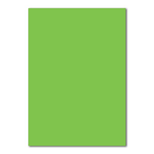 400 DIN A4 Papierbogen Planobogen - Hellgrün (Grün) - 160 g/m² - 21 x 29,7 cm - Bastelbogen Ton-Papier Fotokarton Bastel-Papier Ton-Karton - FarbenFroh von FarbenFroh by GUSTAV NEUSER