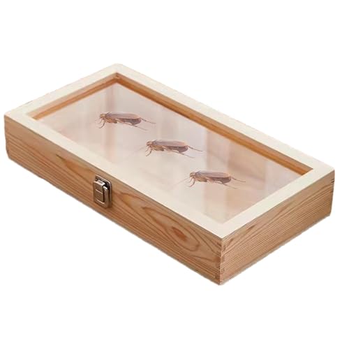 Schmuckschatulle aus Holz, Schmetterlingsrahmen, Schmuck-Organizer, Halter, Ohrringe, Ringe, Halsketten, Display, Schmuckschatulle mit Deckel, Holz-Schmuck-Vitrine, Organizer für Armbänder und von Fbinys