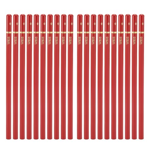 Fdit 20-teiliges Zeichenset mit Kohlestiften, Sicher und Superpigmentiert, Ideal Zum Zeichnen von Figuren, Porträts oder Stillleben, Leicht zu Spitzen, Unzerbrechlich und Glatt von Fdit