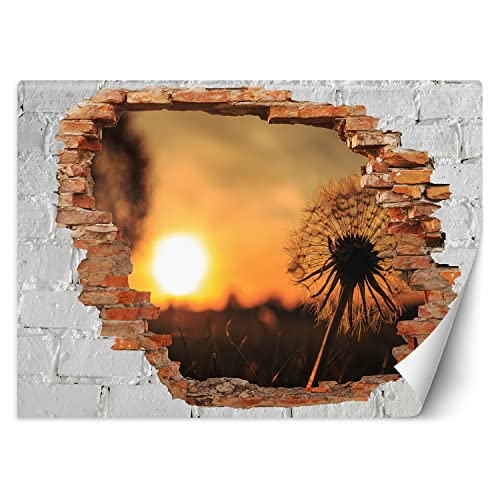 Feeby Fototapete 3D Abstraktion Natur Loch in der Wand 350x245 cm Orange Vlies Wandtapete Tapeten Wohnzimmer Schlafzimmer Büro Flur Moderne Design Wandbilder Wand Dekoration Sonnenuntergang Löwenzahn von Feeby