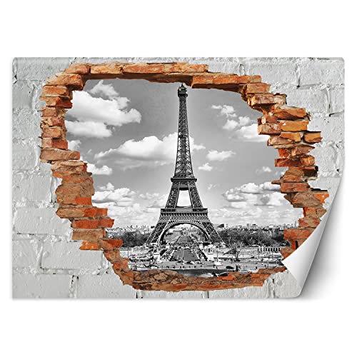 Feeby Fototapete 3D Loch in der Wand Abstrakt 250x175 cm schwarz-weiß Vlies Wandtapete Tapeten Wohnzimmer Schlafzimmer Büro Flur Moderne Design Wandbilder Wand Dekoration Paris Eiffelturm von Feeby