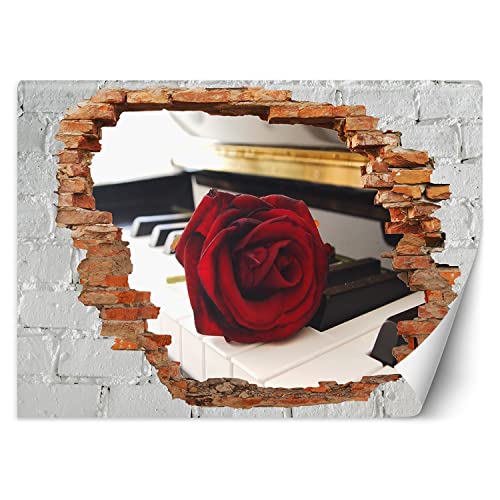 Feeby Fototapete 3D Loch in der Wand Abstrakt Natur 250x175 cm Rot Vlies Wandtapete Tapeten Wohnzimmer Schlafzimmer Büro Flur Moderne Design Wandbilder Wand Dekoration Rose Klavier Blume von Feeby