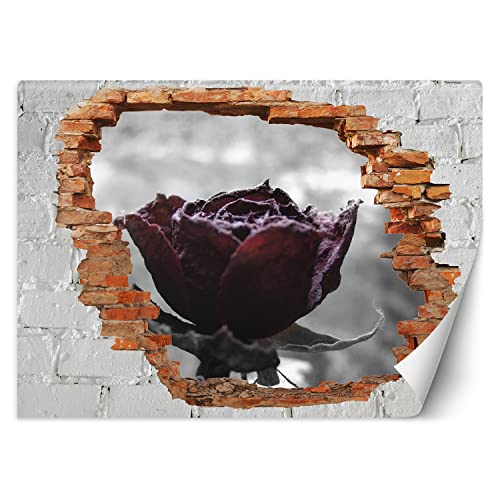 Feeby Fototapete 3D Loch in der Wand Natur Abstrakt 100x70 cm Rot Vlies Wandtapete Tapeten Wohnzimmer Schlafzimmer Büro Flur Moderne Design Wandbilder Wand Dekoration Rose Blütenblätter Blume von Feeby