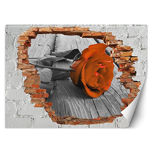 Feeby Fototapete 3D Natur abstrakt Loch in der Wand 250x175 cm Rot Vlies Wandtapete Tapeten Wohnzimmer Schlafzimmer Büro Flur Moderne Design Wandbilder Wand Dekoration Rose Blume Holz von Feeby