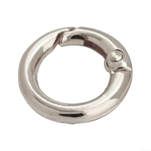 Essential Karabinerverschlüsse aus Metall für DIY-Schmuck und Schlüsselanhänger-Kettenprojekte (Silber, klein), 10 Stück von Feeshoppher