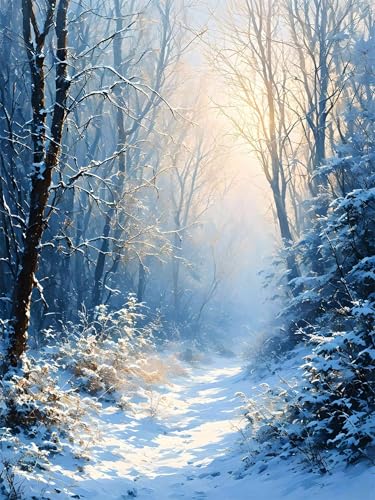 Diamond Painting 40 x 50 cm Winter Diamond Painting Schneeszene Diamond Painting Erwachsene, Diamant Painting Bilder Kinder DIY 5D Diamond Painting Set für Deko Wohnzimmer, Geschenke für Frauen A-116 von FeiPride