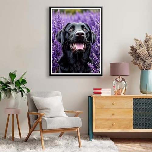 Diamond Painting Hund Diamond Painting Erwachsene Kinder, 5D Diamant Painting Bilder Tier Diamond Painting Eckige Steine, DIY Full Drill Diamond Painting Set für Home Wand Deko 30 x 40 cm A-350 von FeiPride