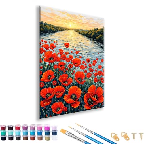 Malen nach Zahlen Erwachsene 40 x 50 cm, Malen nach Zahlen Mohn Paint by Numbers Landschaft DIY Painting by Numbers Erwachsene Leinwand Kit mit Pinseln und Acrylfarben für Zimmer Deko Geschenk Z-9 von FeiPride