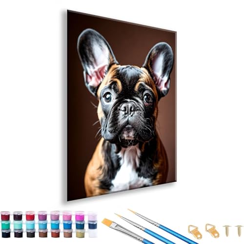 Malen nach Zahlen ab 7 8 9 10 11 12 Jahre Mädchen, Malen nach Zahlen Erwachsene Hund Paint by Numbers Kinder Tier DIY Painting by Numbers Set für Deko Wohnzimmer, Geschenke für Frauen 60 x 80 cm E-5 von FeiPride