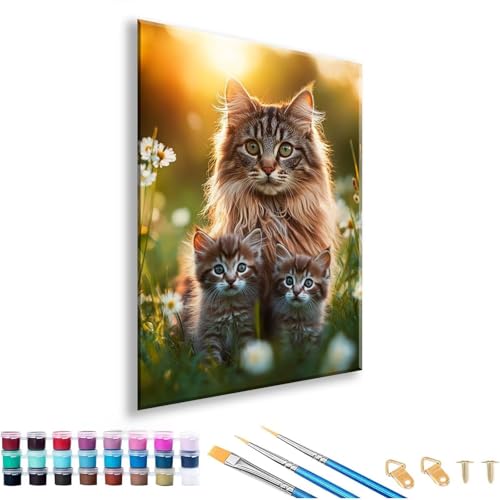 Malen nach Zahlen ab 7 8 9 10 11 12 Jahre Mädchen, Malen nach Zahlen Erwachsene Katze Paint by Numbers Kinder Tier DIY Painting by Numbers Set für Deko Wohnzimmer, Geschenke für Frauen 60 x 80 cm F-5 von FeiPride