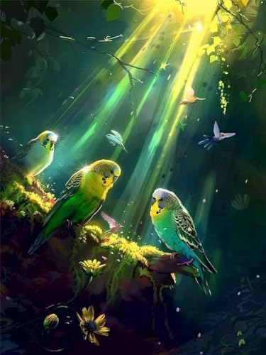 5D Vogel Diamond Painting Erwachsene Groß 70x90cm, Diamant Painting Bilder Kinder, DIY Full Drill Cross Stickerei Malerei Kits, Diamond Painting Bilder Tier Set für Anfänger Deko Schlafzimmer T-0 von Feionnug