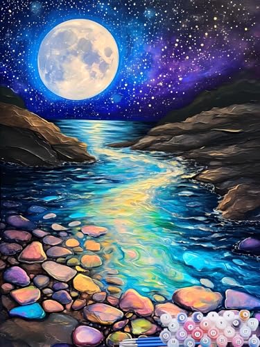 Malen nach Zahlen Erwachsene Mond, Paint by Numbers for Kinder Sternenhimmel, DIY Handgemalt Ölgemälde Kit inklusive Pinsel und Acrylfarben für Anfänger Zimmer Deko Wanddeko Ohne Rahmen 30x40cm A-9 von Feionnug