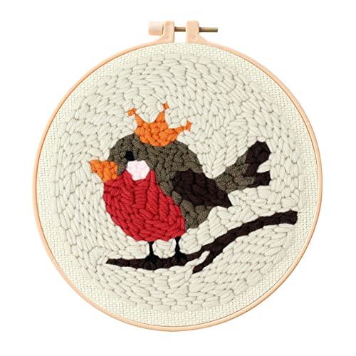 Feltsky Robin Stickerei Sets Kreuzstich Set Sticken Set Erwachsene für Anfänger Geschenk 20cm von Feltsky