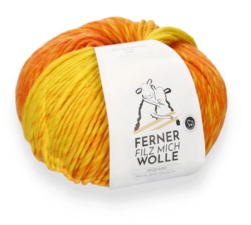 Ferner Wolle Filz Mich, Filzwolle mit Farbverlauf, 200g, 100% Wolle, für zwei gleiche Filzschuhe, mit Trennfaden, strickfilzen, stricken und filzen in der Waschmaschine (F2050) von Ferner Wolle