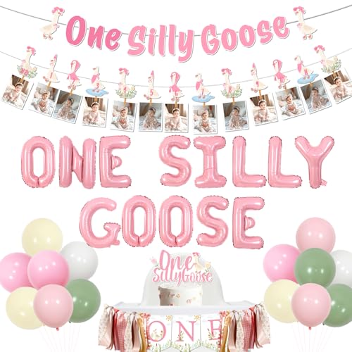 Goose 1st Birthday Party Dekorationen Pink One Silly Goose Banner Folienballon Gans Thema Hochstuhl Banner Bauernhof Tier Foto Banner von Neugeborenen bis 12 Monate Cake Topper für Mädchen Erster von Festiblast