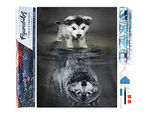 Figured'Art Diamond Painting Erwachsene 40x50cm Ganze Leinwand gerollt Hund und Wolf Spiegelung 5D Bilder Eckige Steine - DIY Set Basteln Figured'Art Diamond Painting Erwachsene 40x50cm Ganze Leinwand gerollt Hund und Wolf Spiegelung 5D Bilder Eckige Steine - DIY Set Basteln von Figured'Art