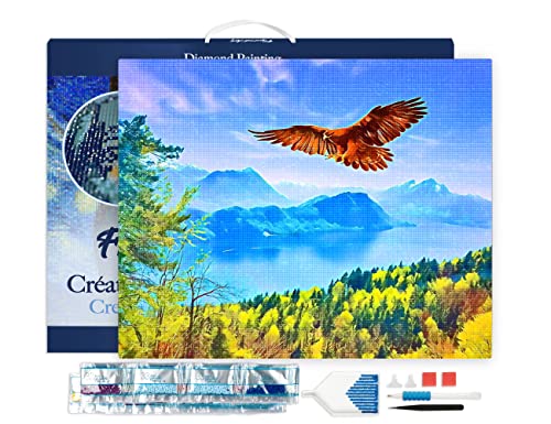 Figured'Art Diamond Painting Erwachsene 40x50cm Mit Rahmen Ganze Leinwand gespannt Adler und schweizer Landschaft 5D Bilder Eckige Steine - DIY Set Basteln von Figured'Art