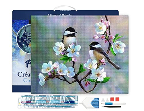 Figured'Art Diamond Painting Erwachsene 40x50cm Mit Rahmen Ganze Leinwand gespannt Kleine Vögel und weiße Blumen 5D Bilder Eckige Steine - DIY Set Basteln von Figured'Art