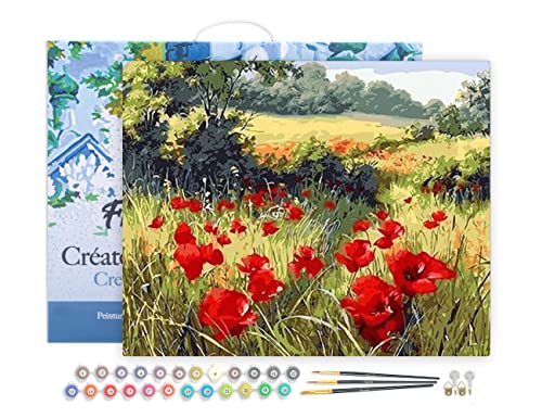 Figured'Art Malen Nach Zahlen Erwachsene Mit Rahmen Blumen im Feld 3 - Paint by Numbers Basteln DIY Bastelset 40x50cm Leinwand gespannt auf Holzrahmen von Figured'Art