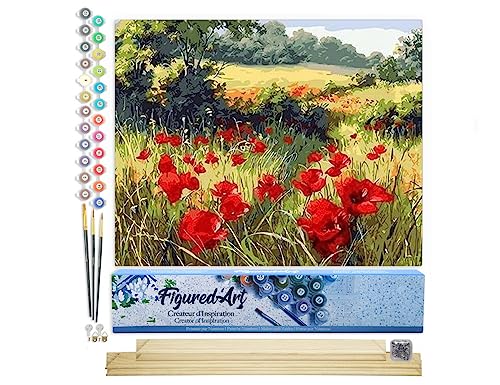 Figured'Art Malen Nach Zahlen Erwachsene Mit Rahmen Blumen im Feld 3 - Paint by Numbers Basteln DIY Bastelset 40x50cm Mit Keilrahmen (nicht gespannt) von Figured'Art