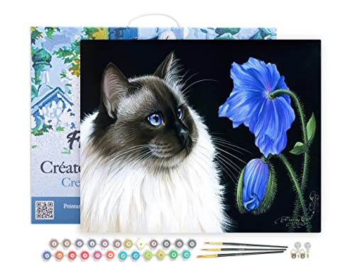 Figured'Art Malen Nach Zahlen Erwachsene Mit Rahmen Katze und Blume - Paint by Numbers Basteln DIY Bastelset 40x50cm Leinwand gespannt auf Holzrahmen von Figured'Art