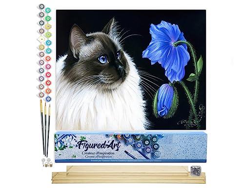 Figured'Art Malen Nach Zahlen Erwachsene Mit Rahmen Katze und Blume - Paint by Numbers Basteln DIY Bastelset 40x50cm Mit Keilrahmen (nicht gespannt) von Figured'Art