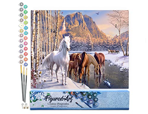 Figured'Art Malen Nach Zahlen Erwachsene Pferde im Winter - Paint by Numbers Basteln DIY Bastelset 40x50cm ohne Holzrahmen von Figured'Art