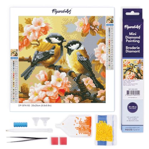 Figured'Art Mini Diamond Painting Erwachsene 25x25cm Ganze Leinwand gerollt Vogelpaar zwischen Blüten 5D Bilder Runde Steine - DIY Set Basteln von Figured'Art