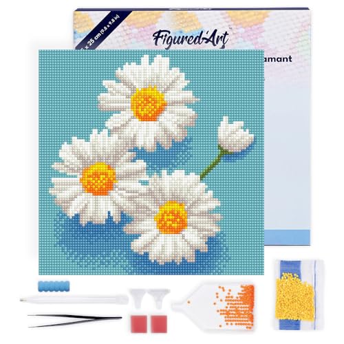 Figured'Art Mini Diamond Painting Erwachsene 25x25cm Mit Rahmen Ganze Leinwand gespannt Bezaubernde Weiße Gänseblümchen 5D Bilder Runde Steine - DIY Set Basteln von Figured'Art