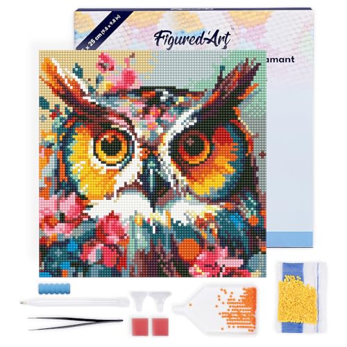 Figured'Art Mini Diamond Painting Erwachsene 25x25cm Mit Rahmen Ganze Leinwand gespannt Fantasie Eule mit Blumen 5D Bilder Runde Steine - DIY Set Basteln von Figured'Art