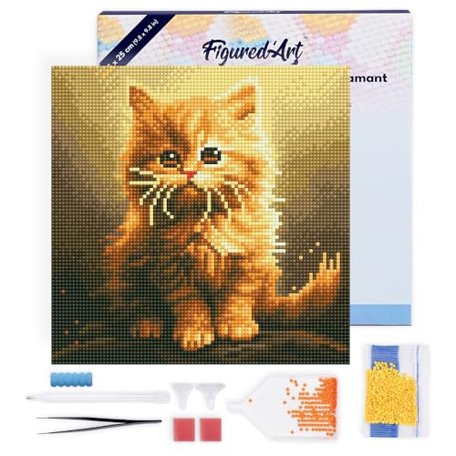 Figured'Art Mini Diamond Painting Erwachsene 25x25cm Mit Rahmen Ganze Leinwand gespannt Flauschiges Oranges Kätzchen 5D Bilder Runde Steine - DIY Set Basteln von Figured'Art